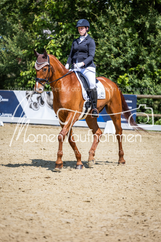 Donop24-L-Dre-056 | MomenTaufnahmen Pferdesportfotos