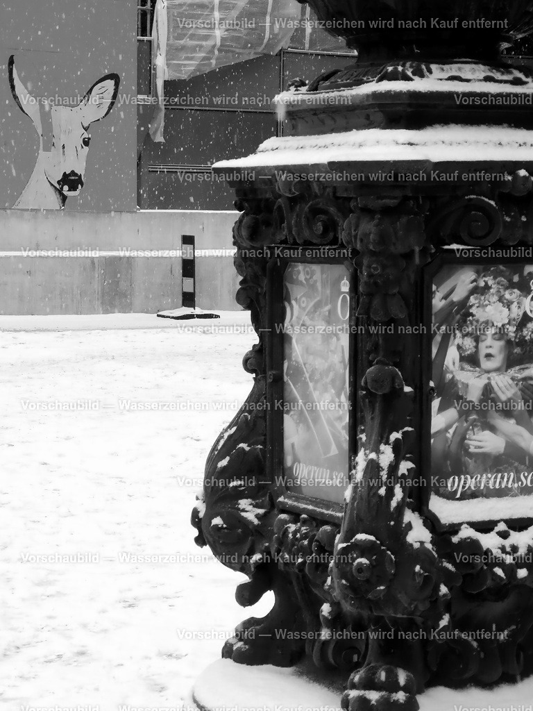 IMG_20221218_101306 | online Fotogalerie mit schwarz-weiß Fotografien und Shop für zeitlose  Poster und Leinwände in stilvollem schwarz weiß  - Realisiert mit Pictrs.com