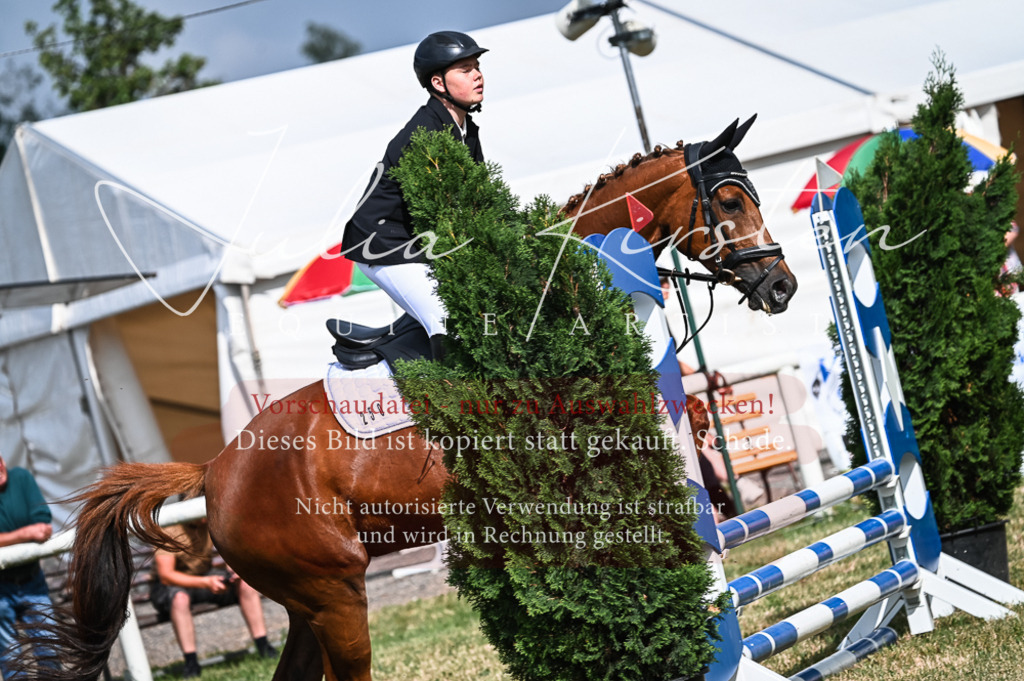 DSC_8165 | Pferde- und Turnierfotografie in Westsachsen. Pferdeportraits, Auftragszeichnungen und intuitive Kunst.