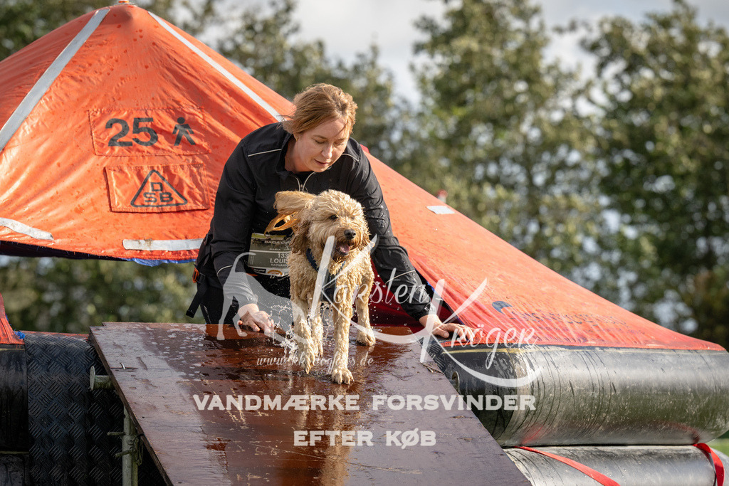 1422-94073 | kk-dogfotos