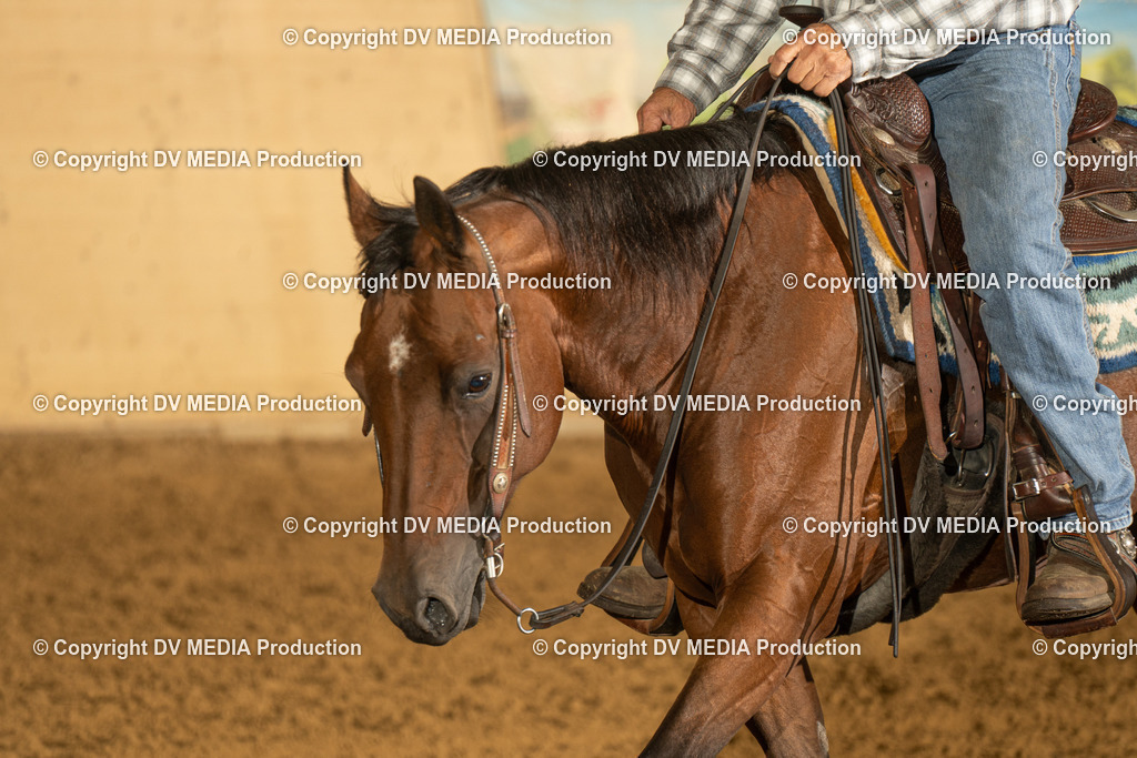 LAU00374 | dv-media-shop - Realisiert mit Pictrs.com