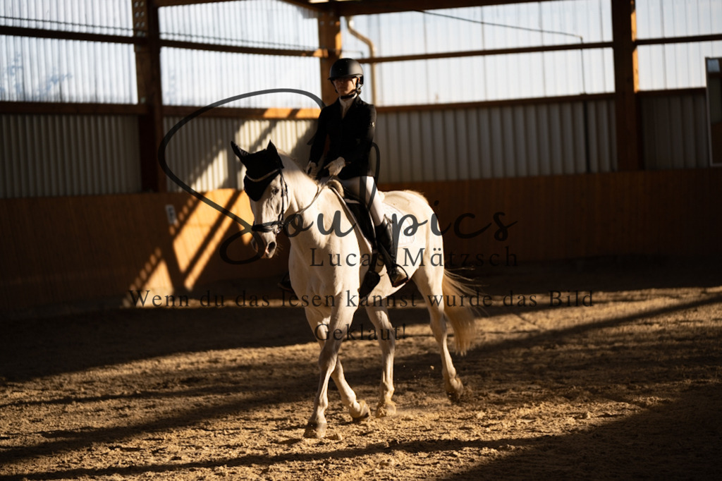 A7V01649 | Pferdefotograf