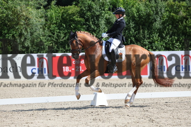 Weilheim_2025_Prfg.Nr.26_Pony-Reitpferdeprüfung_Michele Schulmerig_Next Dancer C (8) | Alle Fotos der Reiterjournal Fotografin Doris Matthaes im Reiterjournal Online-Fotoshop. - Realisiert mit Pictrs.com