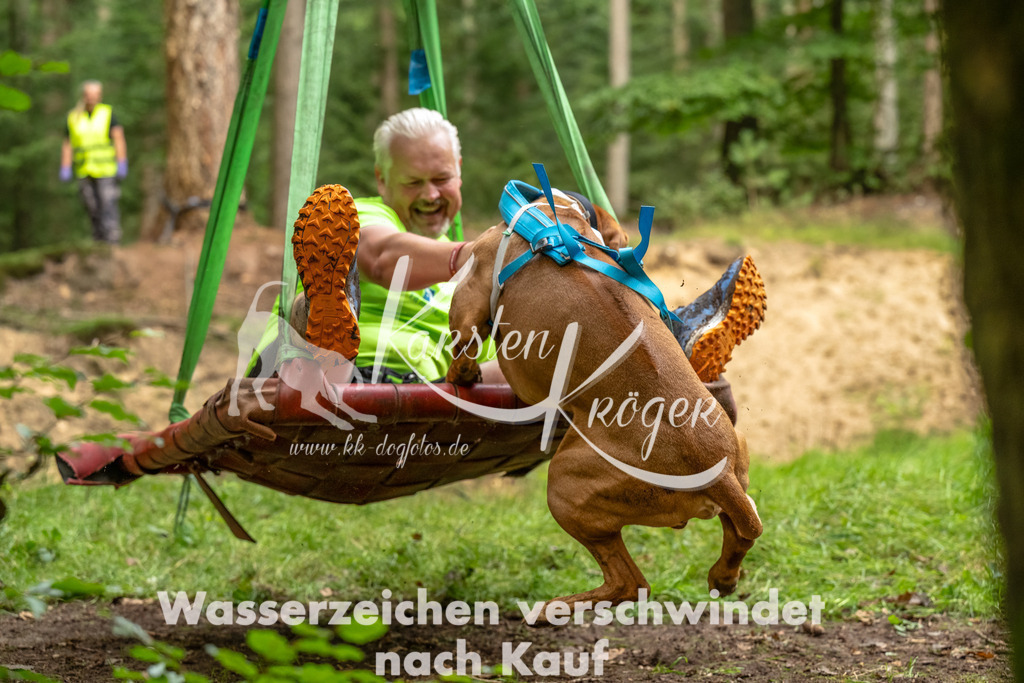 1330_ZZ93096-Bearbeitet | kk-dogfotos