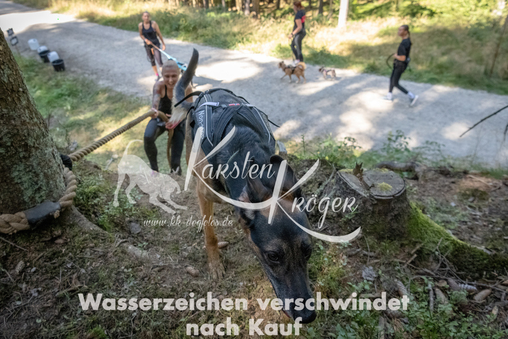 1220_ZZ93991 | kk-dogfotos