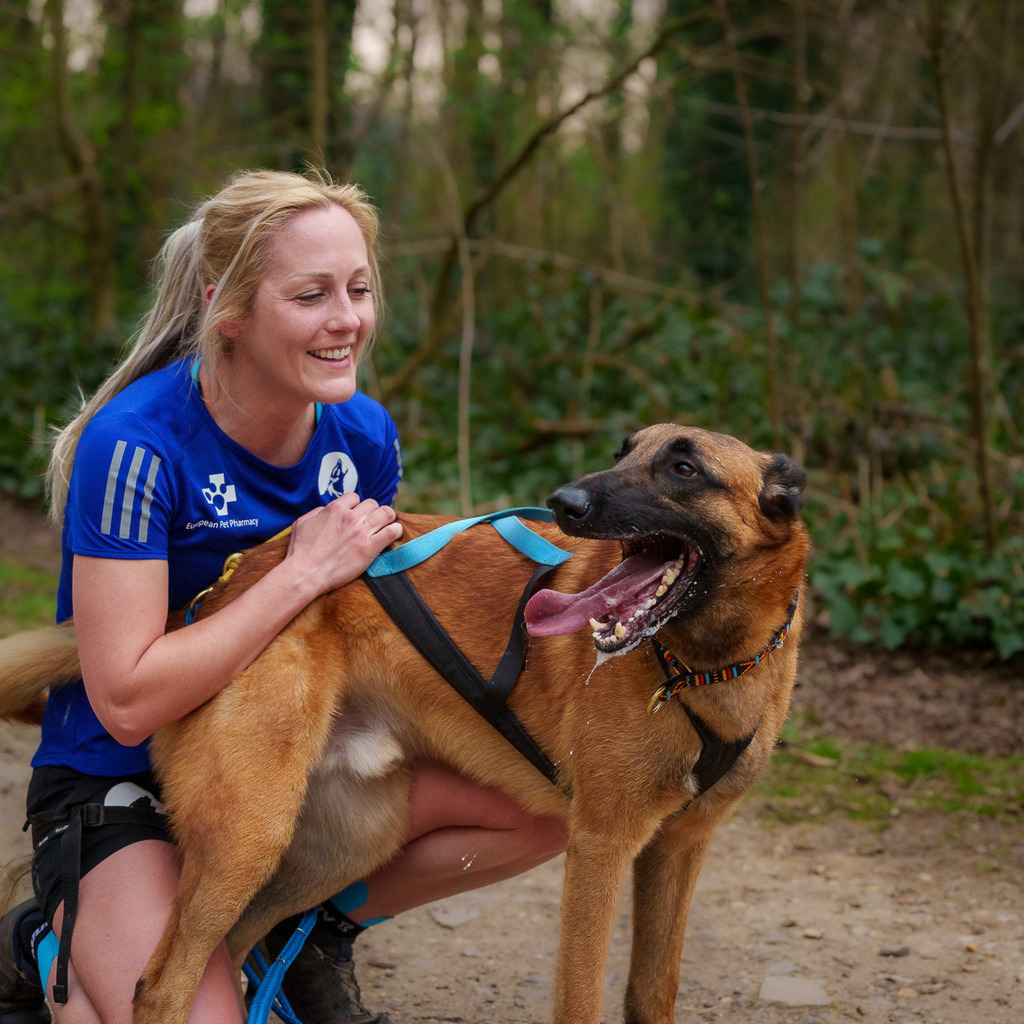 allesWIRTHgut Tierfotografie - 7IV05537 | Professionelle Tierfotografie in Mönchengladbach von Daniel Wirth (allesWIRTHgut). Liebevolle & natürliche Bilder von Hunden & Katzen für unvergessliche Erinnerungen.
