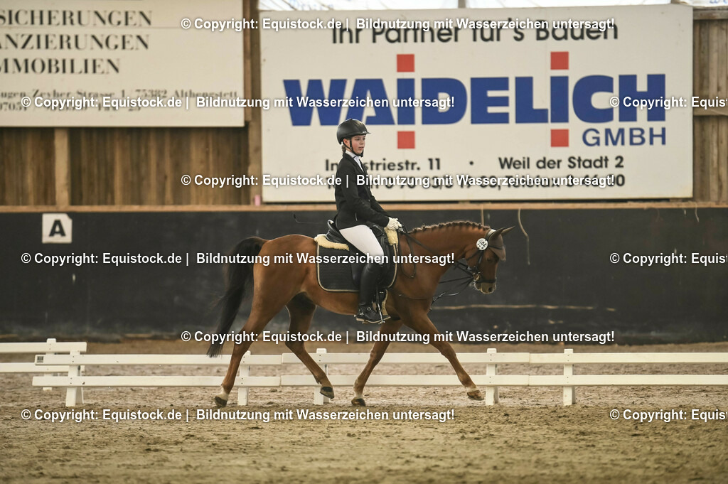 20231029_04_Dressur-WB_0305 | Foto: Thomas Hartig