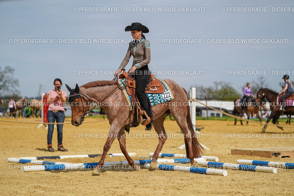 DSC04966 | Pferdegrafie