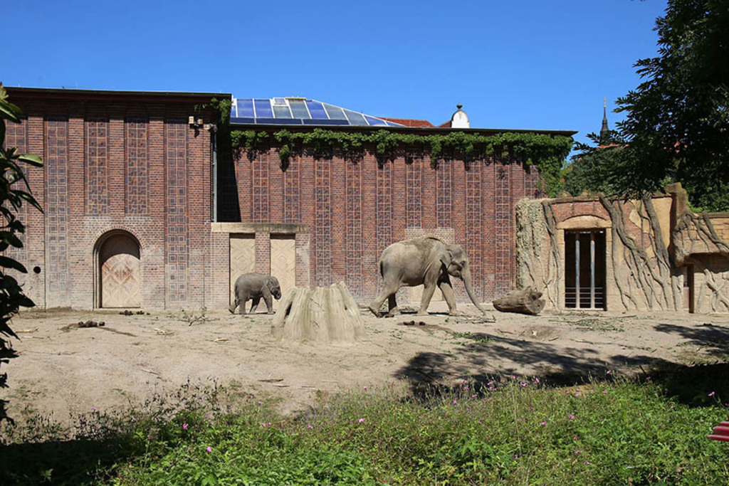Elefantentempel Ganesha Mandir im Zoo | Entdecke über 20 Kategorien Leipzig-Motive: Foto-Downloads, hochwertige Poster, Leinwand- & Fine-Art-Prints. Jetzt Lieblingsfoto im Bildlexikon Leipzig Shop bestellen!