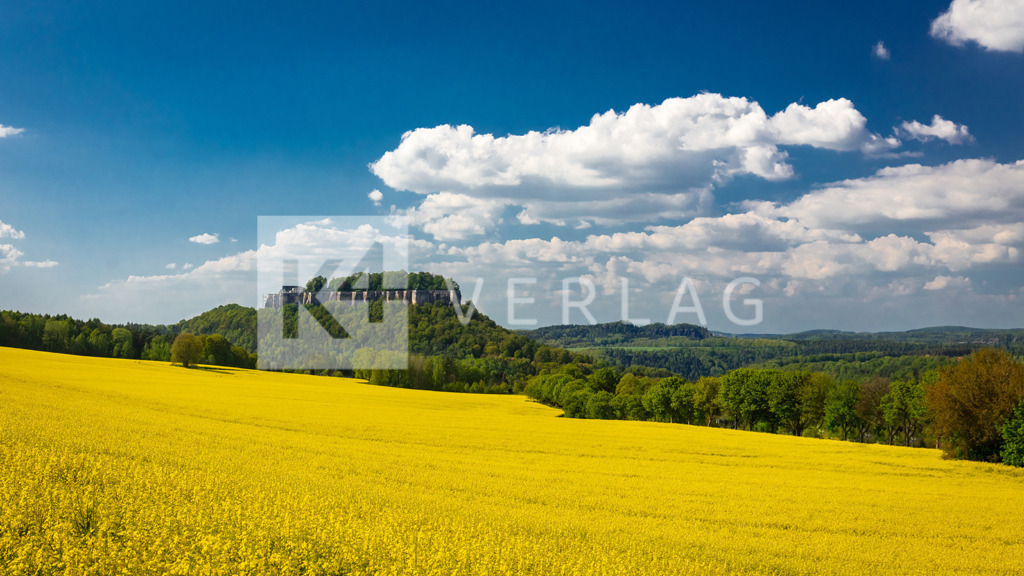 Wandbild-Panorama-Festung-Koenigstein-RapsOCO3317 | Gelbe Rapsfeldern umgeben die Festung Königstein - Realisiert mit Pictrs.com