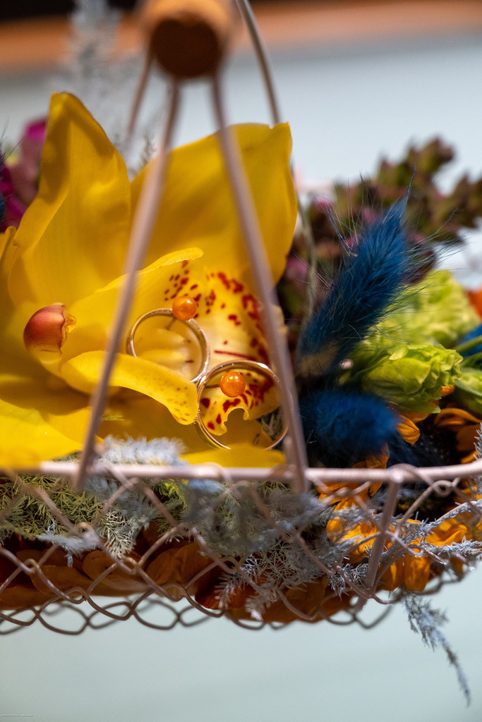 WWB_5731 | <Fotografie> <Video> <Film> <Winfried Bischoff> - Realisiert mit Pictrs.com