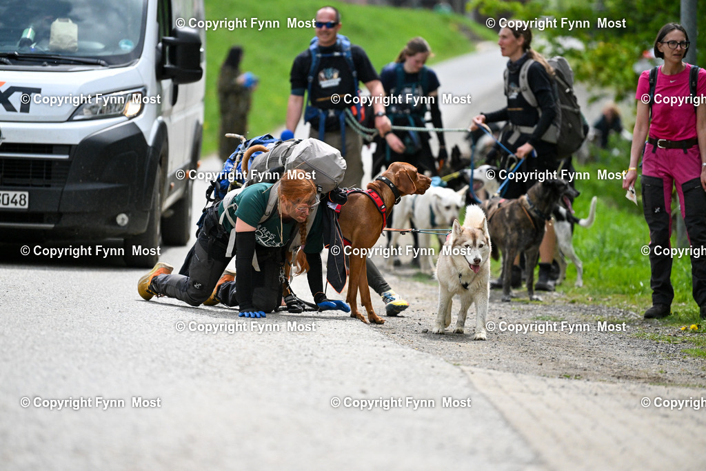 DSC_6785 | Hallo und herzlich Willkommen auf meiner Shop-Seite Fynn Most.

Ich wünsche Dir viel Spaß beim stöbern durch die Bilder, wenn Du Fragen hast oder Bilder vermisst, kannst du mir gerne eine Nachricht schreiben. - Realisiert mit Pictrs.com