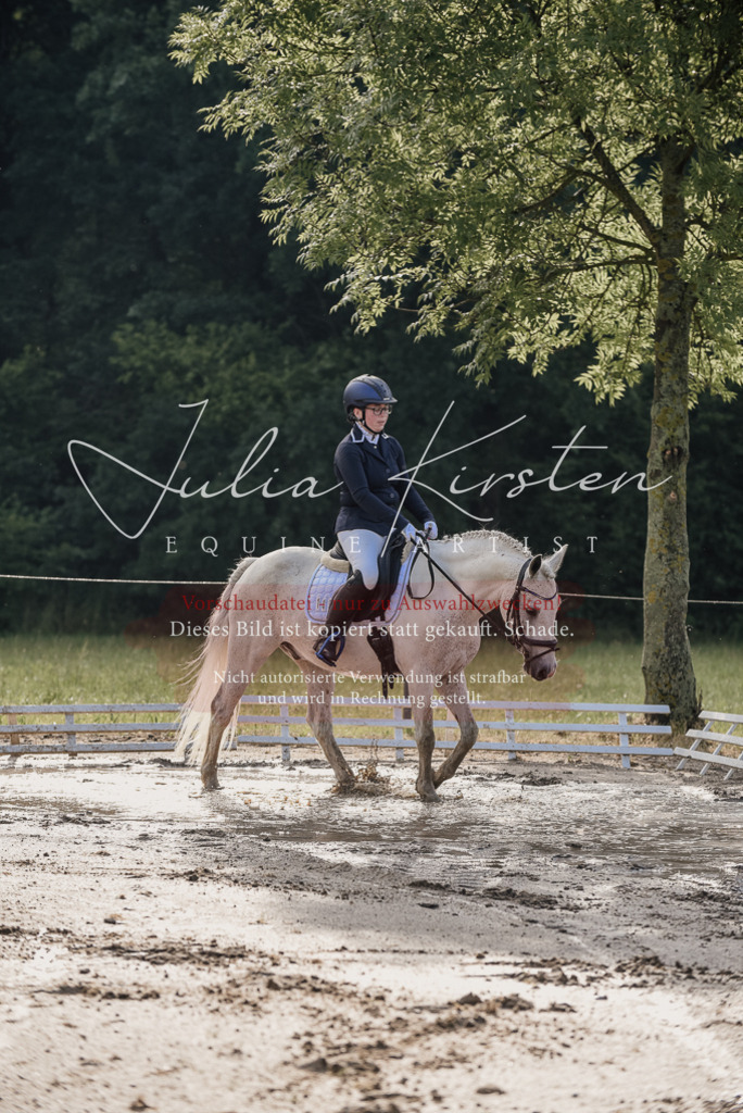 DSC_7929 | Pferde- und Turnierfotografie in Westsachsen. Pferdeportraits, Auftragszeichnungen und intuitive Kunst.