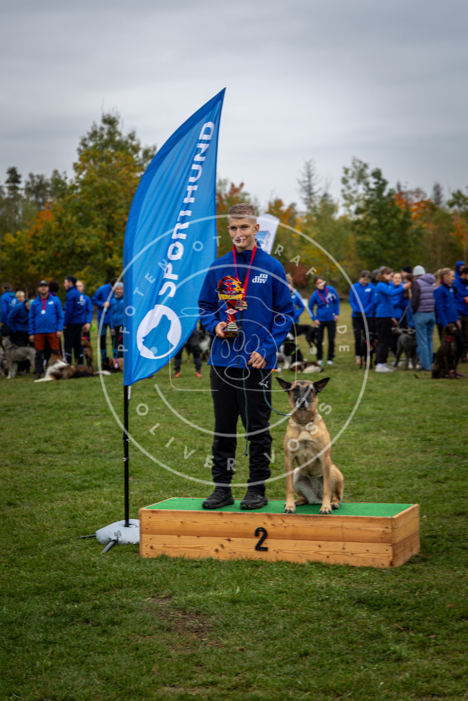 Pfotenfotografie_0L8A0523 | Hundefotografie, Tierfotograf, Pfotenfotografie, Fotoshooting Hund, Hunde Portrait, Hundesport, Hundeportraits, Heideshooting, Hunde, Sportfotograf, Hundefotograf, Turnierhundsport, THS,  - Realisiert mit Pictrs.com