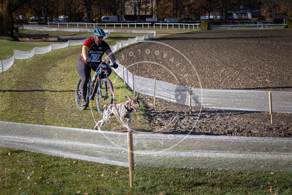 CaniXpix_DV3A6292 | Hundefotografie, Tierfotograf, Pfotenfotografie, Fotoshooting Hund, Hunde Portrait, Hundesport, Hundeportraits, Heideshooting, Hunde, Sportfotograf, Hundefotograf, Turnierhundsport, THS,  - Realisiert mit Pictrs.com