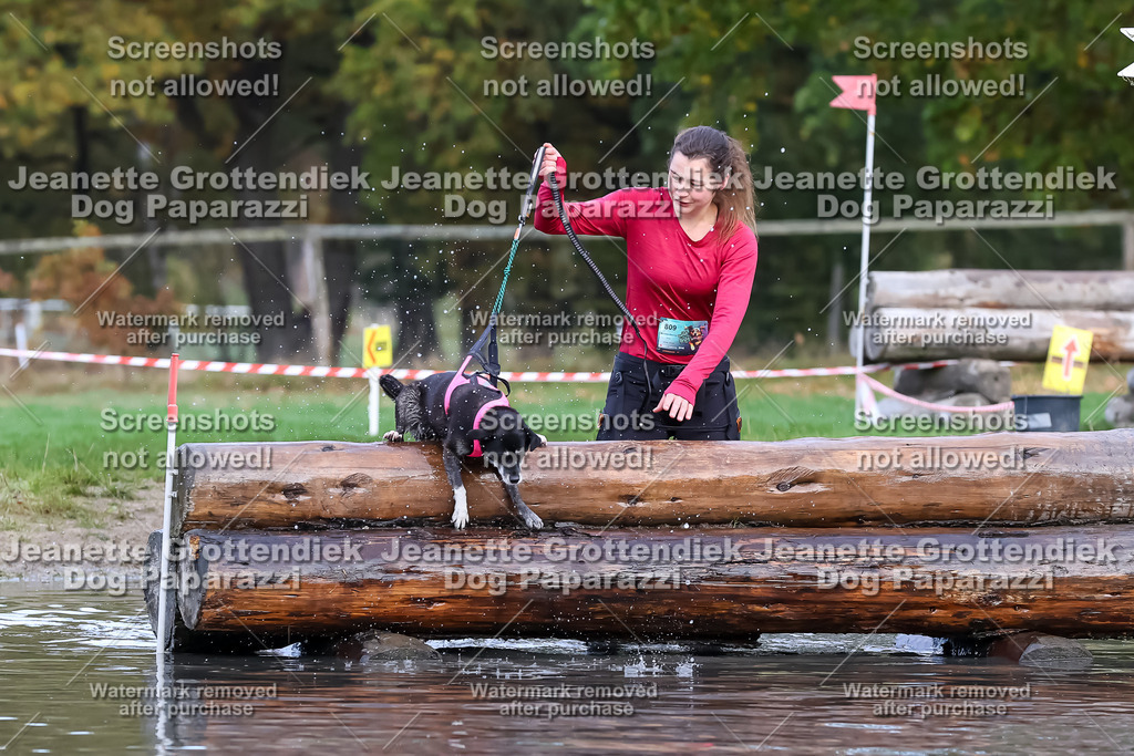 Dog Paparazzi - Strongdog 10-25-6808 | Dog Paparazzi Jeanette Grottendiek Fotografie & Videografie