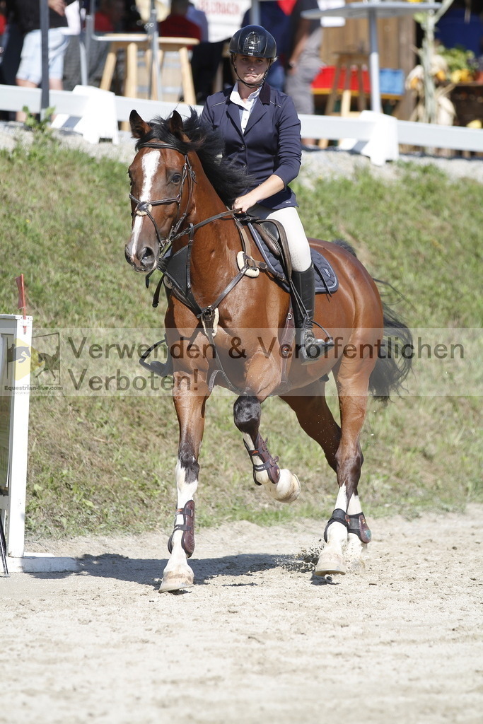 _MG_8003 | equestrian-live-com