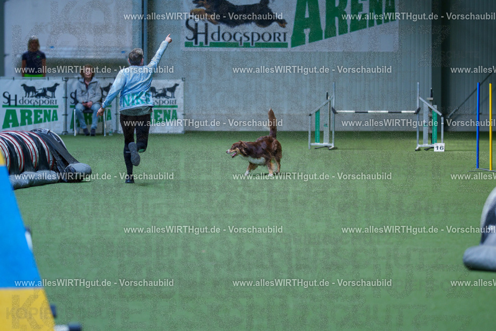 @allesWIRTHgut_Tierfotografie - www.allesWIRTHgut.de - 2604251425-7R504663 | Professionelle Tierfotografie in Mönchengladbach von Daniel Wirth (allesWIRTHgut). Liebevolle & natürliche Bilder von Hunden & Katzen für unvergessliche Erinnerungen.