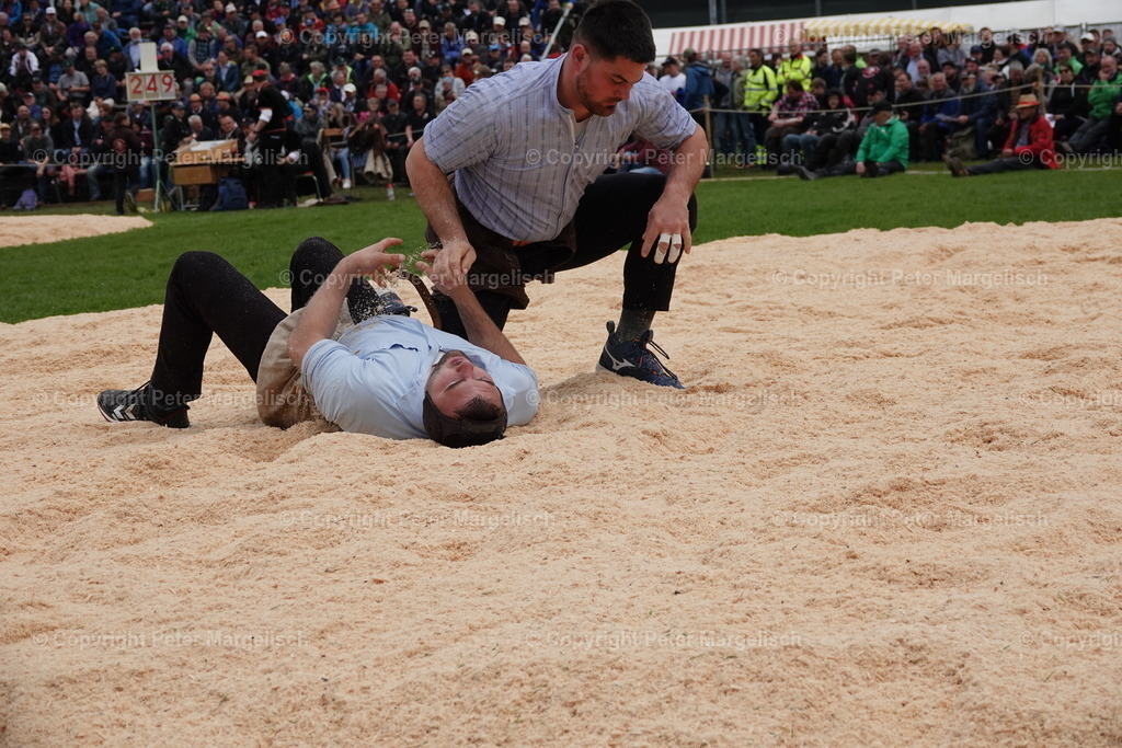 DSC03290 | Schwingen - Realisiert mit Pictrs.com