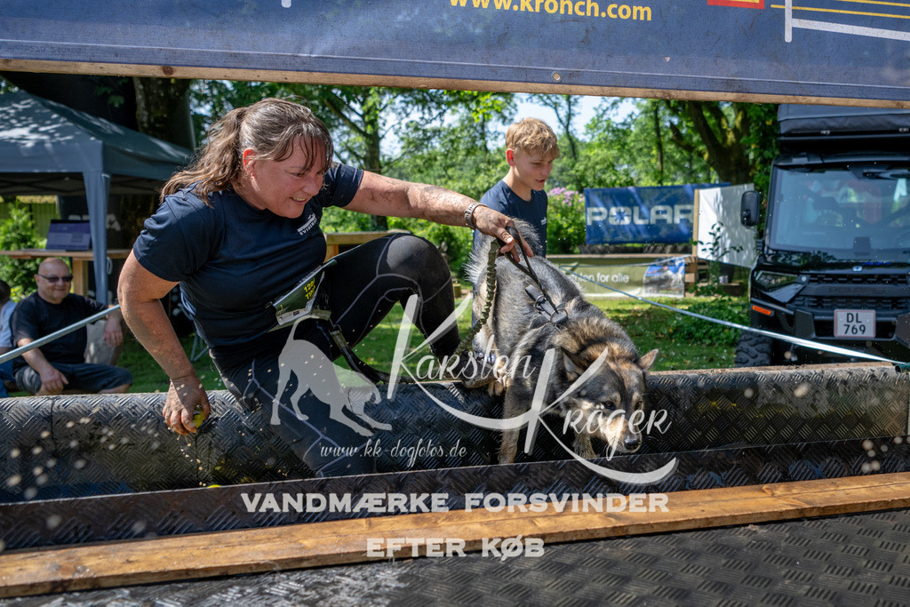 1209_ZZ90528 | kk-dogfotos