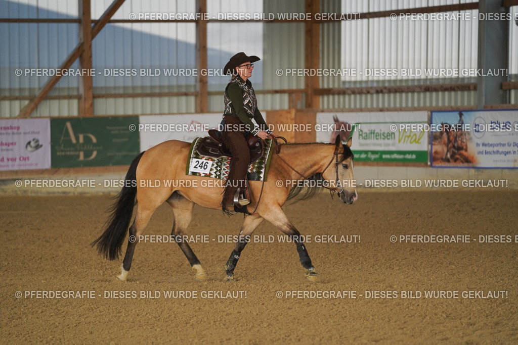 DSC08314 | Pferdegrafie