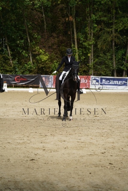 VAN01322 | Marie Giesen Fotografie - Realisiert mit Pictrs.com