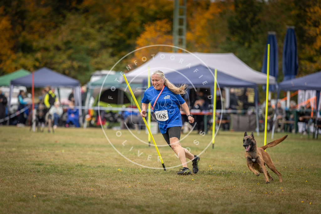 Pfotenfotografie_DV3A5938 | Hundefotografie, Tierfotograf, Pfotenfotografie, Fotoshooting Hund, Hunde Portrait, Hundesport, Hundeportraits, Heideshooting, Hunde, Sportfotograf, Hundefotograf, Turnierhundsport, THS,  - Realisiert mit Pictrs.com