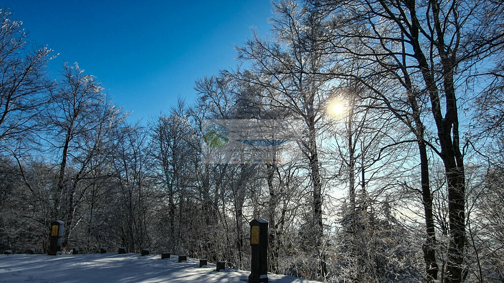 Wallfahrtskapeel Armesberg im Winter | Impressionen rund um Hochfranken - Frankenwald - Fichtelgebirge - Realisiert mit Pictrs.com