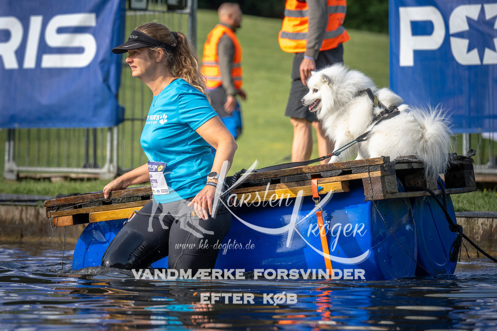 _ZZ942880714 | kk-dogfotos