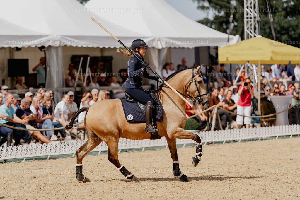Diana11_FHC2025-2958 | working equitationturnier fotograf videograf stoibphotography marixx film working equitation deutschland reitsport turnierfotografie eventfotografie equestrian events