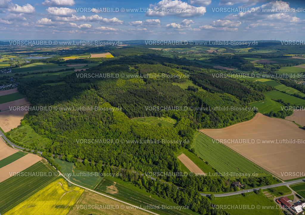 Kalletal240505413 | Luftbild, Waldgebiet Am Werder, Hügel und Täler und Fernsicht, Erder, Kalletal, Ostwestfalen, Nordrhein-Westfalen, Deutschland