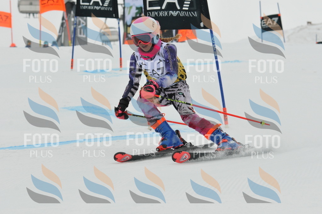 DSC_8282 | holidayphoto