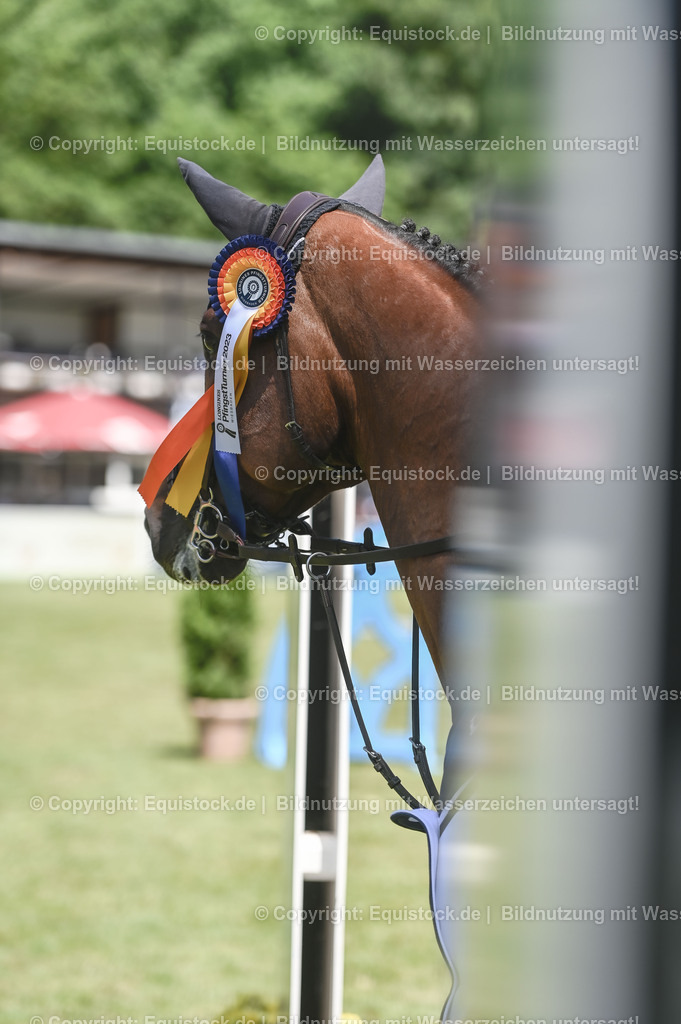20230529_18_CSI4_Obermayr_0169 | equistock