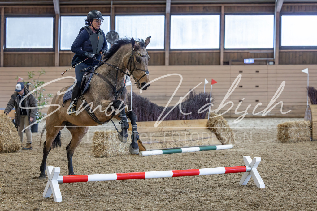 20260222-_3LI1881 | Tierfotografie Pferde, Hunde, Katzen, Haustiere.
Turnierfotografie Reitturniere, Reiten, Springreiten, Dressur in Hanau, dem Main-Kinzig-Kreis und dem Rhein-Main- Gebiet um Frankfurt