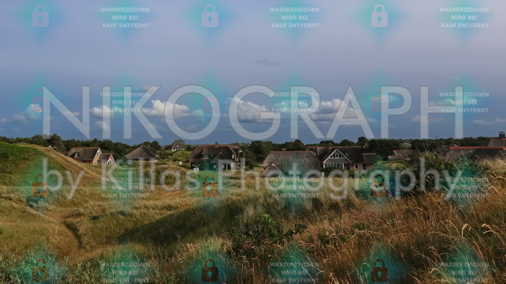 Siedlung | Eine Siedlung eigebettet in den Dünen von Ameland. Die Wolken schweben über den reetgedeckten Dächern.