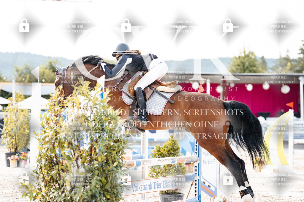 CK906881 | Turnierfotografie Pferdefotografie Trier Rheinland-Pfalz Pferdesport Reitsport Tierfotografie Sportfotografie Pferdevideo Pferdevideografie Equestrianvideography equestrianphotography  - Realisiert mit Pictrs.com