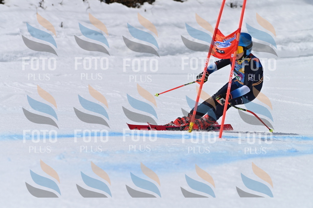 BGV_7013 | holidayphoto