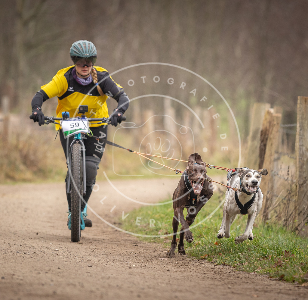 Pfotenfotografie_DV3A3181 | Hundefotografie, Tierfotograf, Pfotenfotografie, Fotoshooting Hund, Hunde Portrait, Hundesport, Hundeportraits, Heideshooting, Hunde, Sportfotograf, Hundefotograf, Turnierhundsport, THS,  - Realisiert mit Pictrs.com