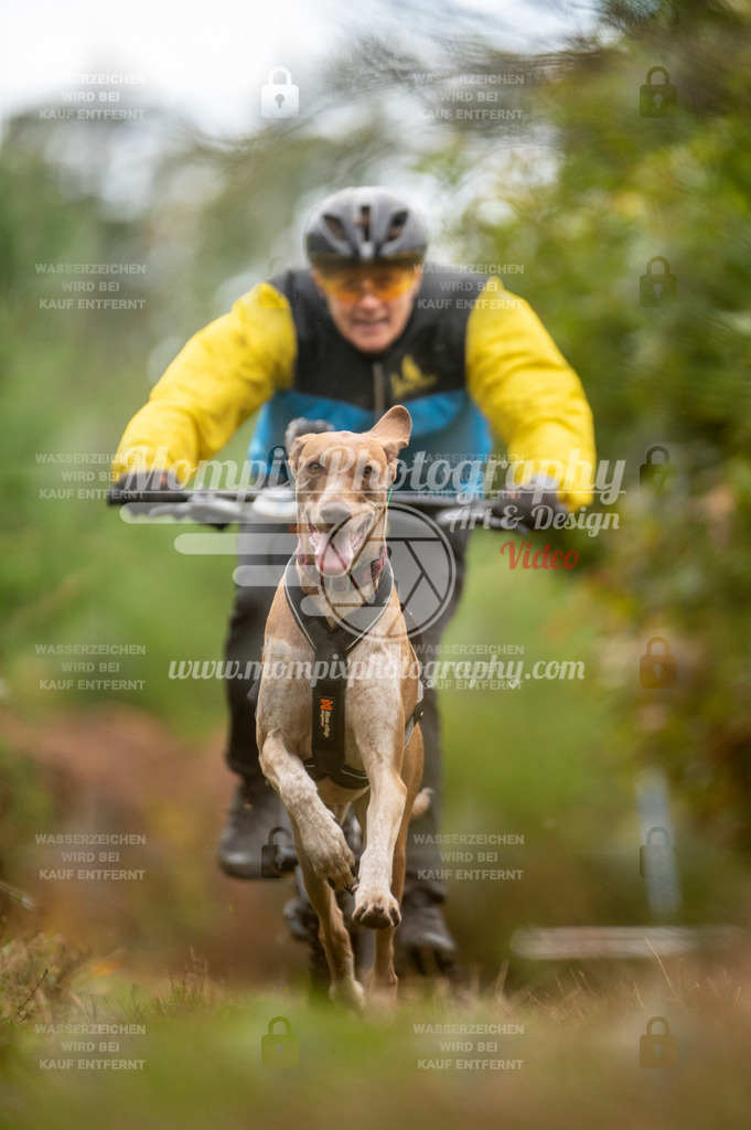 TSB_2023_E5_Bike-68 | PayLife