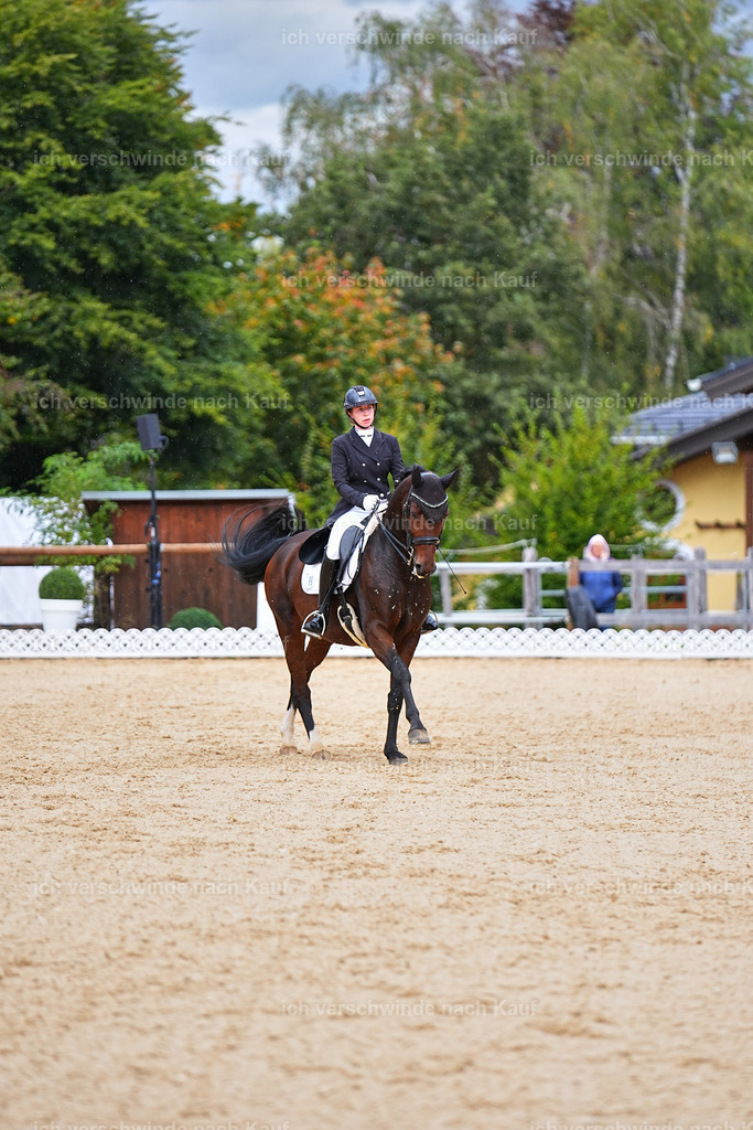 8_1-099-Klasse S_  -Marixx-4186 | working equitationturnier fotograf videograf stoibphotography marixx film working equitation deutschland reitsport turnierfotografie eventfotografie equestrian events