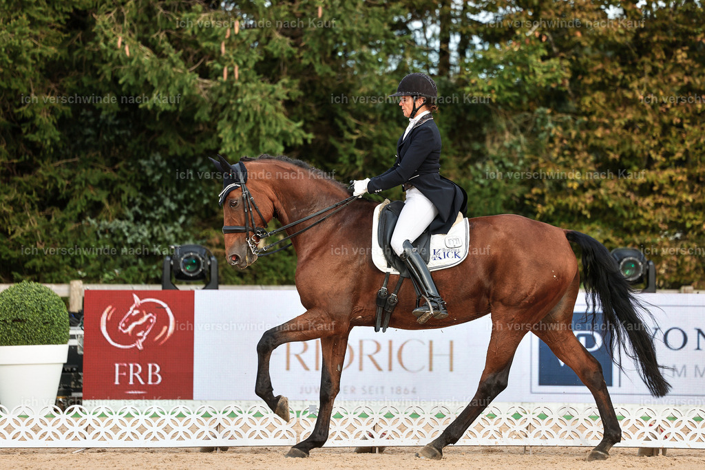 13-072-S___ -StoibPH-6995 | working equitationturnier fotograf videograf stoibphotography marixx film working equitation deutschland reitsport turnierfotografie eventfotografie equestrian events