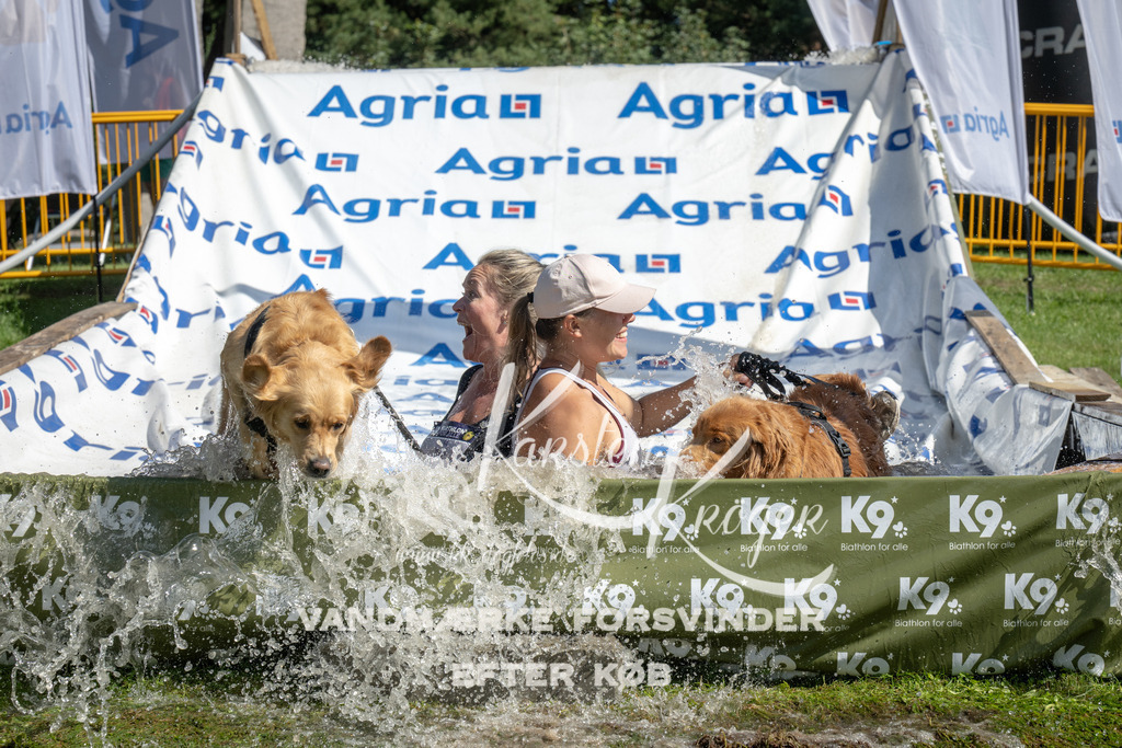 1149_ZZ94186 | kk-dogfotos