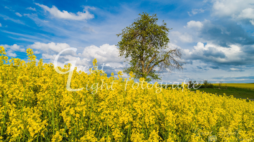 DJI_0131 | Great-Light Fotografie - Realisiert mit Pictrs.com