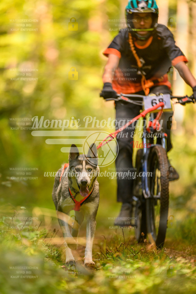 MompixPhotography_Yens2025_B2-102 | PayLife