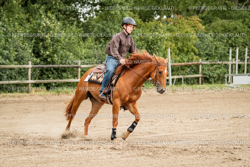 DSC04847 | Pferdegrafie