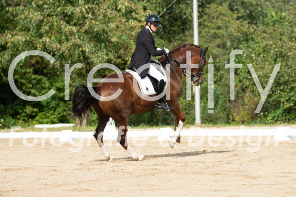 IMG_3930 | Creatify Fotografie