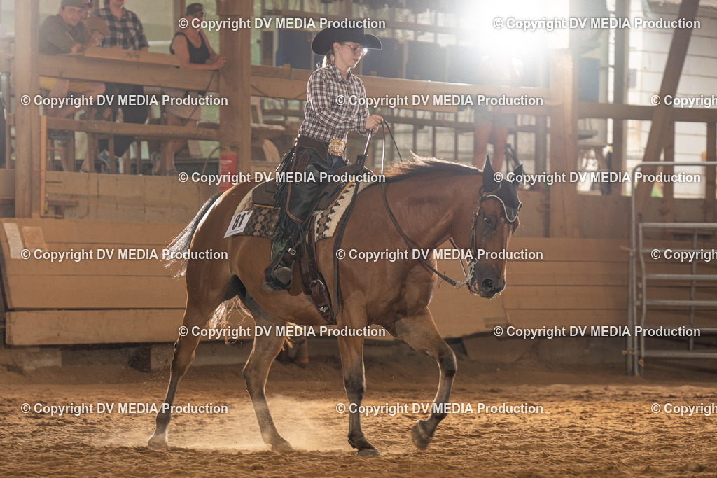 NID01647 | dv-media-shop - Realisiert mit Pictrs.com