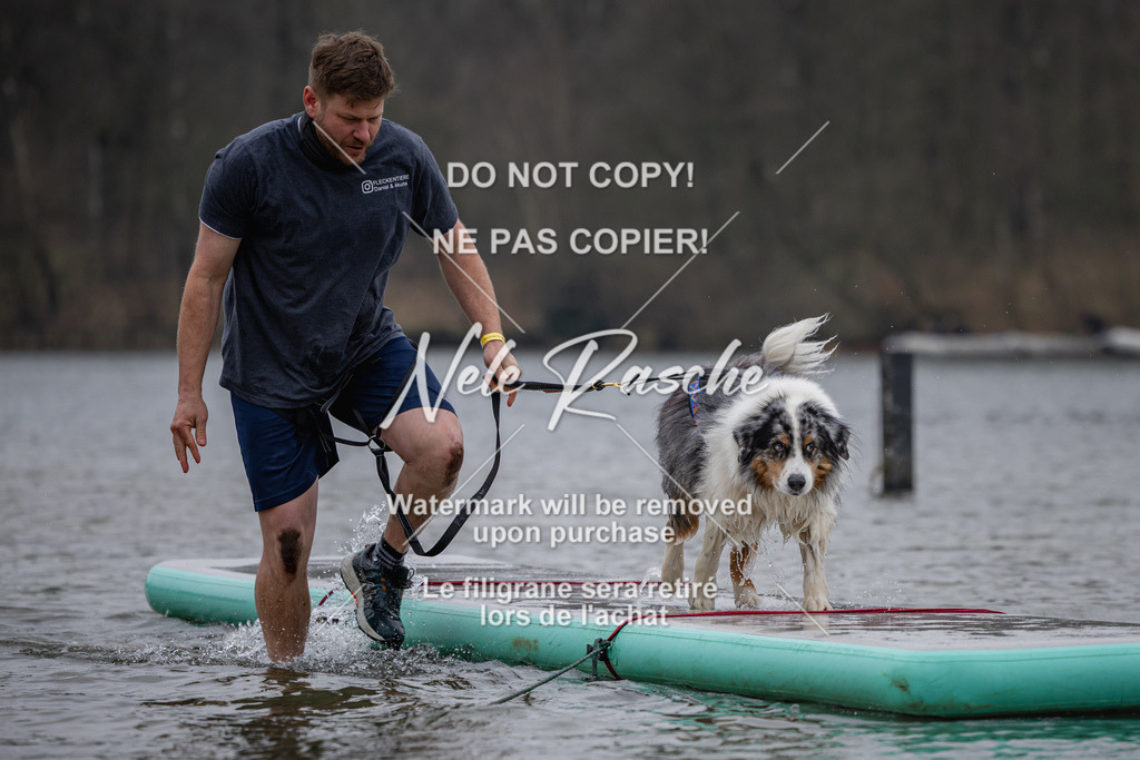 nelerasche_Hulsbeek_Sa1430-1515_336 | nelerasche