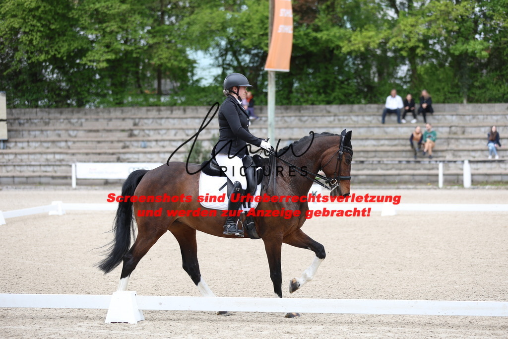 A40A4208 | lmwpictures - Realisiert mit Pictrs.com