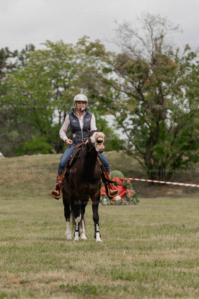 Showprogramm-89 | working equitationturnier fotograf videograf stoibphotography marixx film working equitation deutschland reitsport turnierfotografie eventfotografie equestrian events